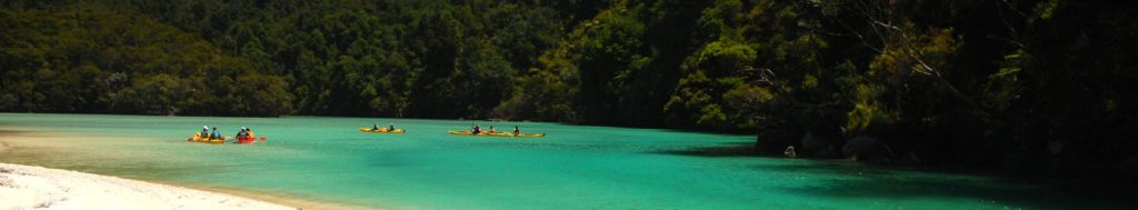 school kids kayaking in the Abel Tasman National Park