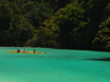 school kids kayaking in the Abel Tasman National Park