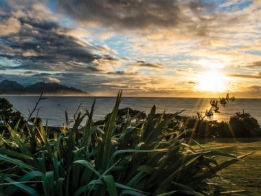 harakeke and abel tasman at sunrise