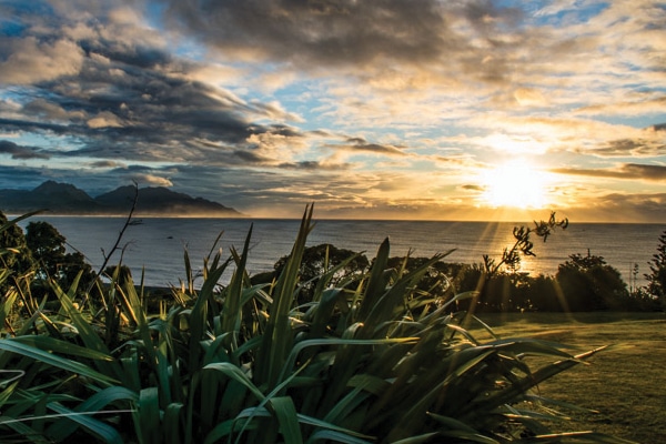 harakeke and abel tasman at sunrise