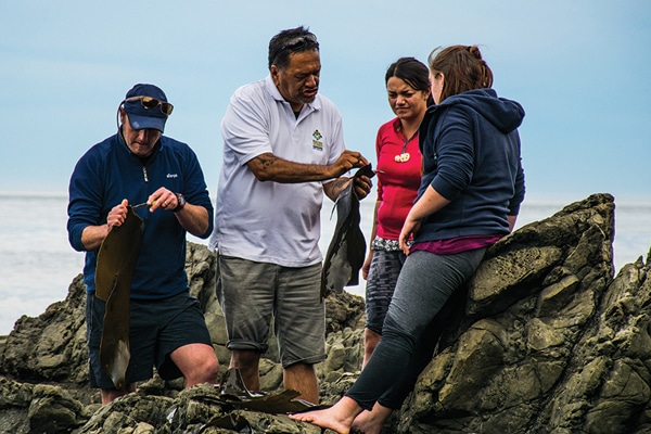 environmental science rockpools environmental science rockpools
