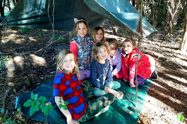 primary bush environment shelter