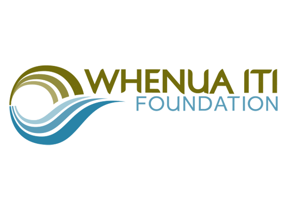 wio foundation logo