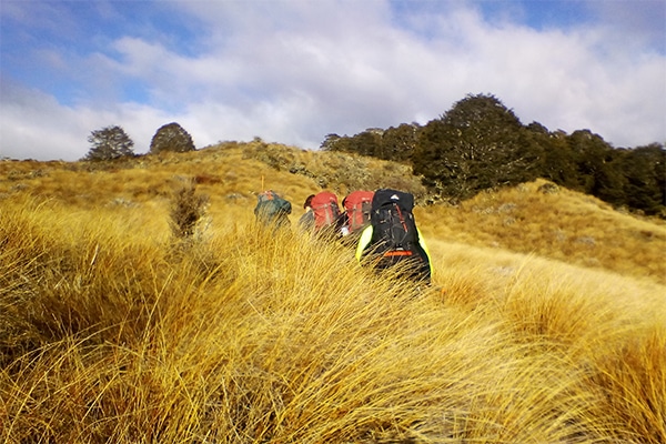 secondary journey dofe kahurangi national park