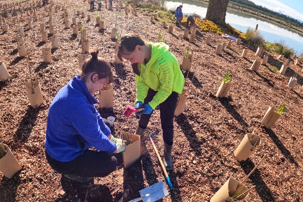 older student  assisting a younger student to plant trees at Waimeha Inlet