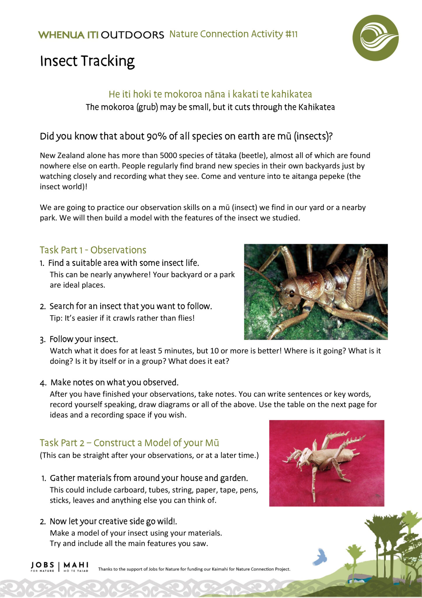 WIO Activity #11 Insect Tracking