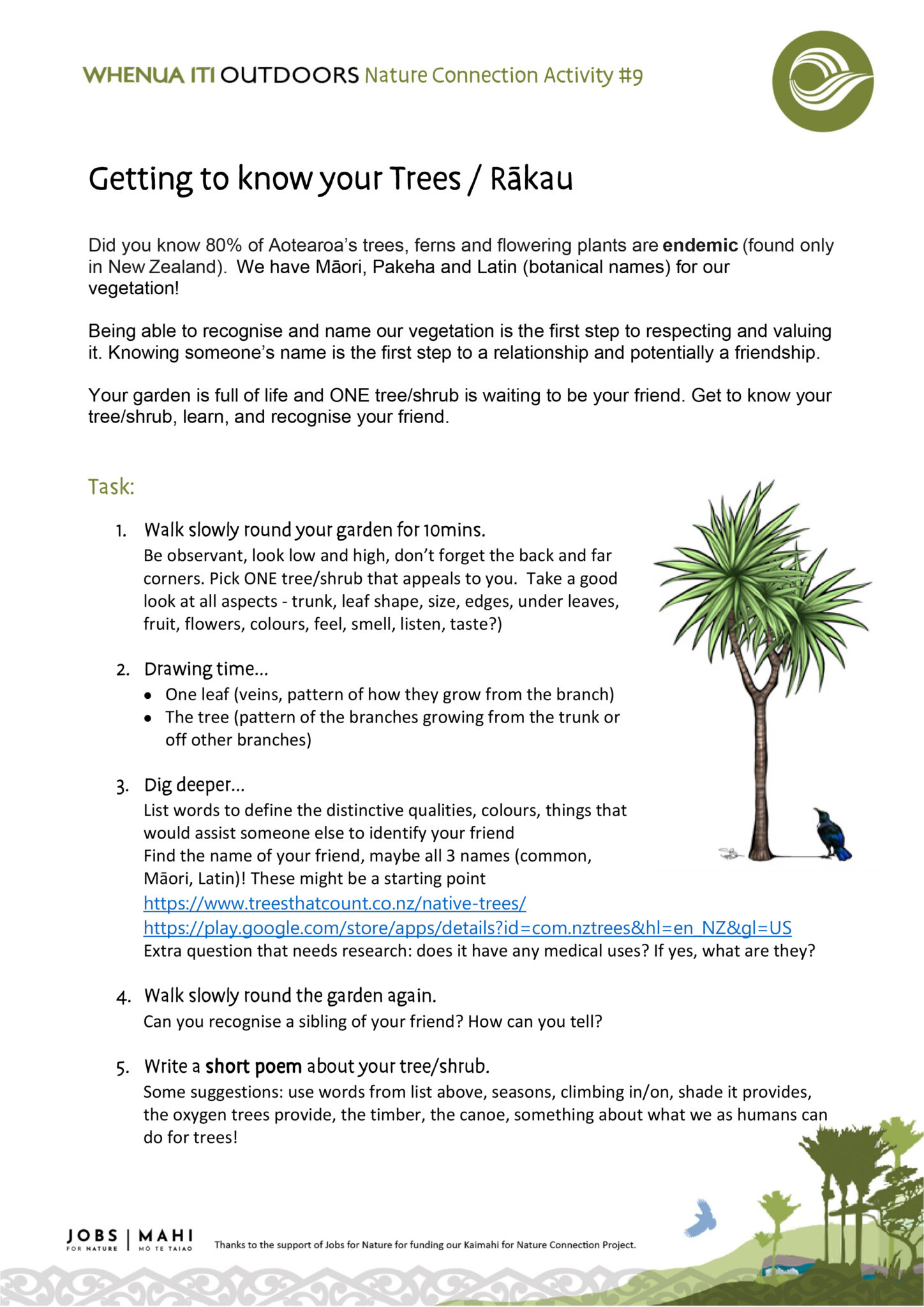 WIO Activity #9 Get to know your trees