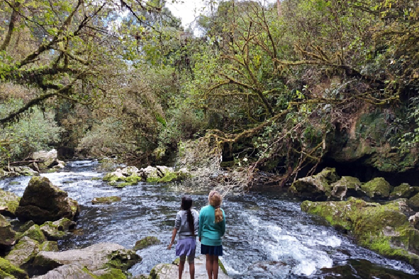 nature connection awa river