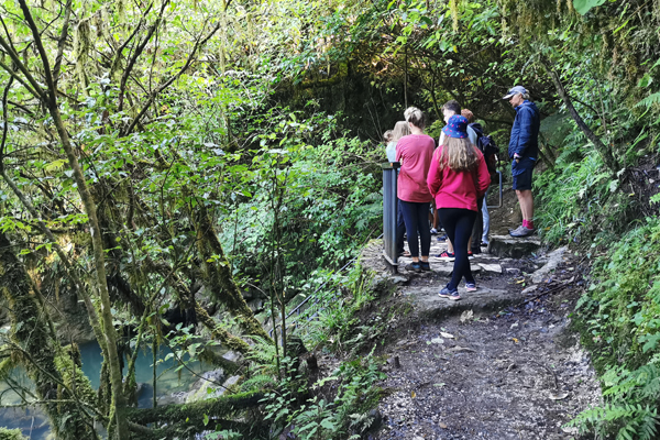 students standing near te puna waiora