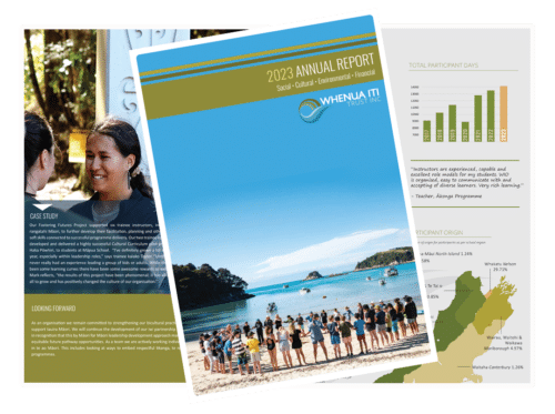 annual report visuals of pages